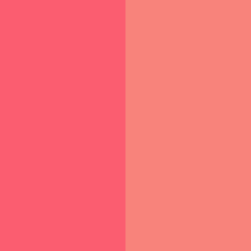 Blush Compacto Duo DB03 - Ruby Rose