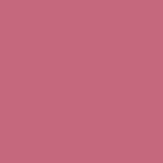 Blush Compacto Duo DB05 - Ruby Rose
