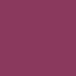Blush Compacto Duo DB05 - Ruby Rose