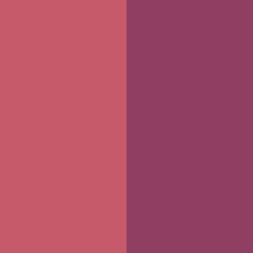 Blush Compacto Duo DB05 - Ruby Rose