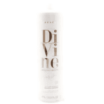 Divine Antifrizz Shampoo 250Ml – Brae